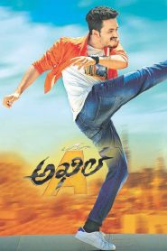 Akhil (2015) Hindi Dubbed Full Movie Download Gdrive Link