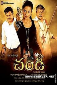 Chandi: The Power of Woman (2013) Hindi Dubbed Full Movie Download Gdrive Link