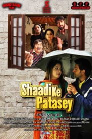Shaadi Ke Patasey (2019) Hindi Full Movie Download Gdrive Link