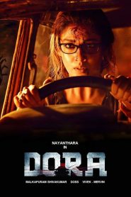 Dora (2017) Full Movie Download Gdrive Link
