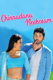 Chinnadana Nee Kosam (2014) Hindi Dubbed Full Movie Download Gdrive Link