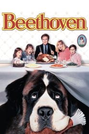 Beethoven (1992) Full Movie Download | Gdrive Link