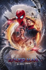 Spider-Man: No Way Home (2021) Bengali [Fan Dub] Blu-Ray Full Movie Download | Gdrive Link