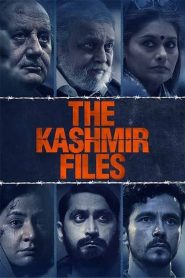The Kashmir Files (2022) Hindi Pre-DvDRip Full Movie Download | Gdrive Link