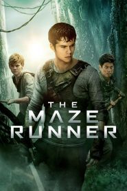 The Maze Runner (2014) BluRay 1080p 720p 480p Download and Watch Online | Full Movie