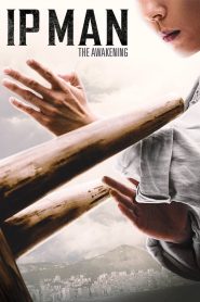 Ip Man: The Awakening (2022)  1080p 720p 480p google drive Full movie Download
