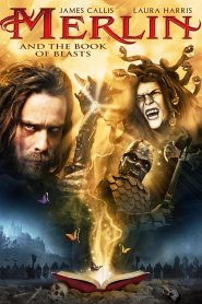 Merlin and the Book of Beasts (2009)  1080p 720p 480p google drive Full movie Download
