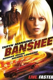 Banshee (2006)  1080p 720p 480p google drive Full movie Download