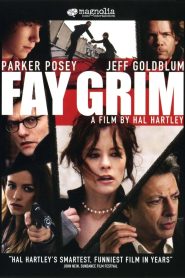 Fay Grim (2006)  1080p 720p 480p google drive Full movie Download