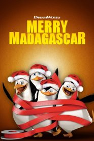 Merry Madagascar (2009)  1080p 720p 480p google drive Full movie Download
