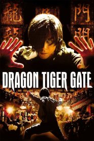 Dragon Tiger Gate (2006)  1080p 720p 480p google drive Full movie Download