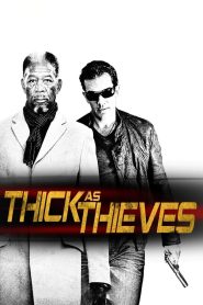 Thick as Thieves (2009)  1080p 720p 480p google drive Full movie Download