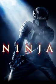 Ninja (2009)  1080p 720p 480p google drive Full movie Download