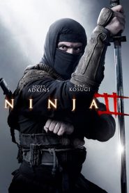 Ninja: Shadow of a Tear (2013)  1080p 720p 480p google drive Full movie Download
