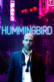Hummingbird (2013)  1080p 720p 480p google drive Full movie Download