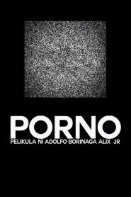 Porno (2013)  1080p 720p 480p google drive Full movie Download