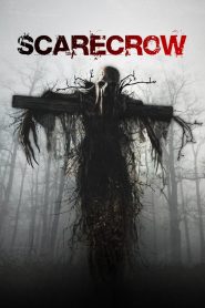 Scarecrow (2013)  1080p 720p 480p google drive Full movie Download