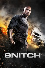 Snitch (2013)  1080p 720p 480p google drive Full movie Download