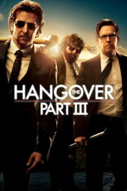 The Hangover Part III (2013)  1080p 720p 480p google drive Full movie Download