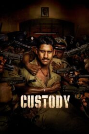 Custody (2023)  1080p 720p 480p google drive Full movie Download