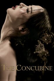 The Concubine (2012)  1080p 720p 480p google drive Full movie Download