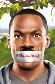 A Thousand Words (2012)  1080p 720p 480p google drive Full movie Download