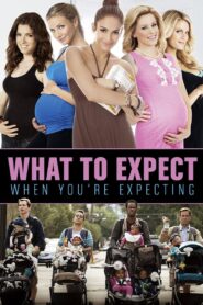 What to Expect When You’re Expecting (2012)  1080p 720p 480p google drive Full movie Download