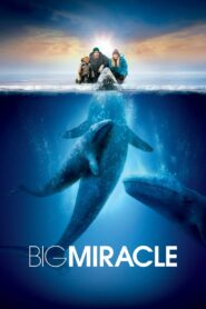 Big Miracle (2012)  1080p 720p 480p google drive Full movie Download
