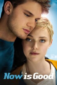Now Is Good (2012)  1080p 720p 480p google drive Full movie Download