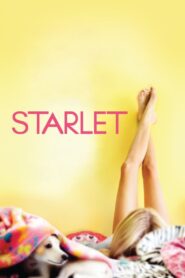 Starlet (2012)  1080p 720p 480p google drive Full movie Download