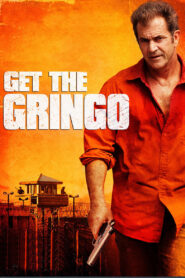 Get the Gringo (2012)  1080p 720p 480p google drive Full movie Download