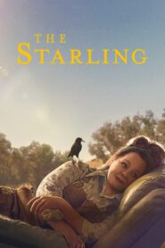 The Starling (2021)  1080p 720p 480p google drive Full movie Download and watch Online