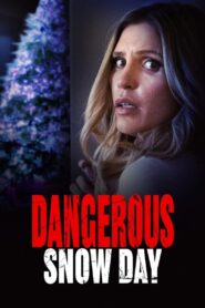 Dangerous Snow Day (2021)  1080p 720p 480p google drive Full movie Download and watch Online