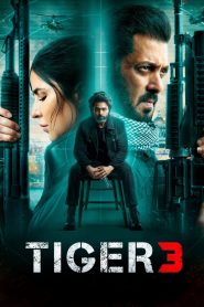 Tiger 3 (2023) Hindi WEB-DL 480p, 720p & 1080p | GDRive