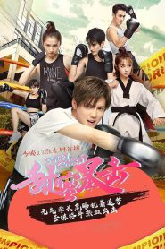 Sweet Combat (2018) Complete WEB-DL 720p Chinese [English Subtitle]