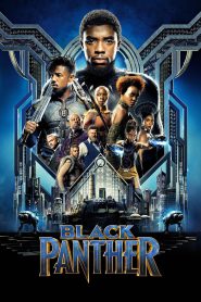 Black Panther (2018)  1080p 720p 480p google drive Full movie Download and watch Online