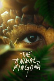 The Animal Kingdom (2023)  Full Movie Download | Direct Download