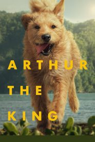 Arthur the King (2024)  Full Movie Download | Direct Download