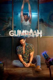 Gumraah 2024 Hindi Movie 720p WEB-DL 1Click Download
