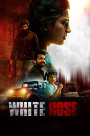 White Rose (2024)  Full Movie Download | Direct Download