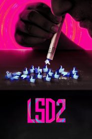LSD 2: Love, Sex Aur Dhokha 2 (2024) WEB-DL Hindi Movie 480p [350MB] | 720p [1GB]