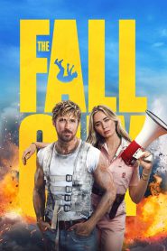 The Fall Guy (2024) WEB-DL Dual Audio [Hindi ORG. + English] Full Movie 480p [400MB] | 720p [1.1GB] | 1080p [2.8GB]