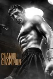 Chandu Champion (2024) HDTS Hindi Movie 480p [450MB] | 720p [1GB] | 1080p [2.2GB]