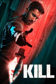 Kill (2024) Hindi [Best Quality Print] HDTS 480p, 720p & 1080p | GDRive