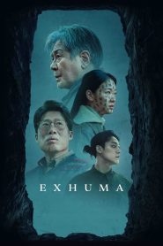 Exhuma (2024) 720p BluRay ORG. [Dual Audio] [Hindi or Korean] x264 ESubs [1.3GB]