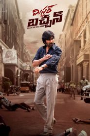 Mr. Bachchan (2024) WEB-DL Multi Audio [Hindi (HQ DUBBED) + Tamil + Telugu + Malayalam + Kannada] Full Movie 480p [600MB] | 720p [1.5GB] | 1080p [2.3GB]